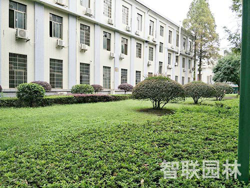 湖南理工大学绿化1